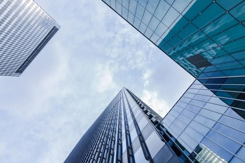 百億補貼為拼多多帶來了什么？——一場信任與增長的博弈